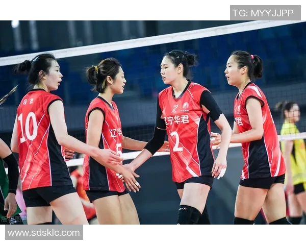 武汉排球队与北京排球队赛后分析灵活性表现及战术调整探讨